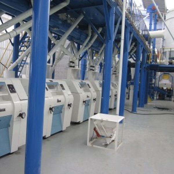 6FYDT-100 maisijahuveski tehas